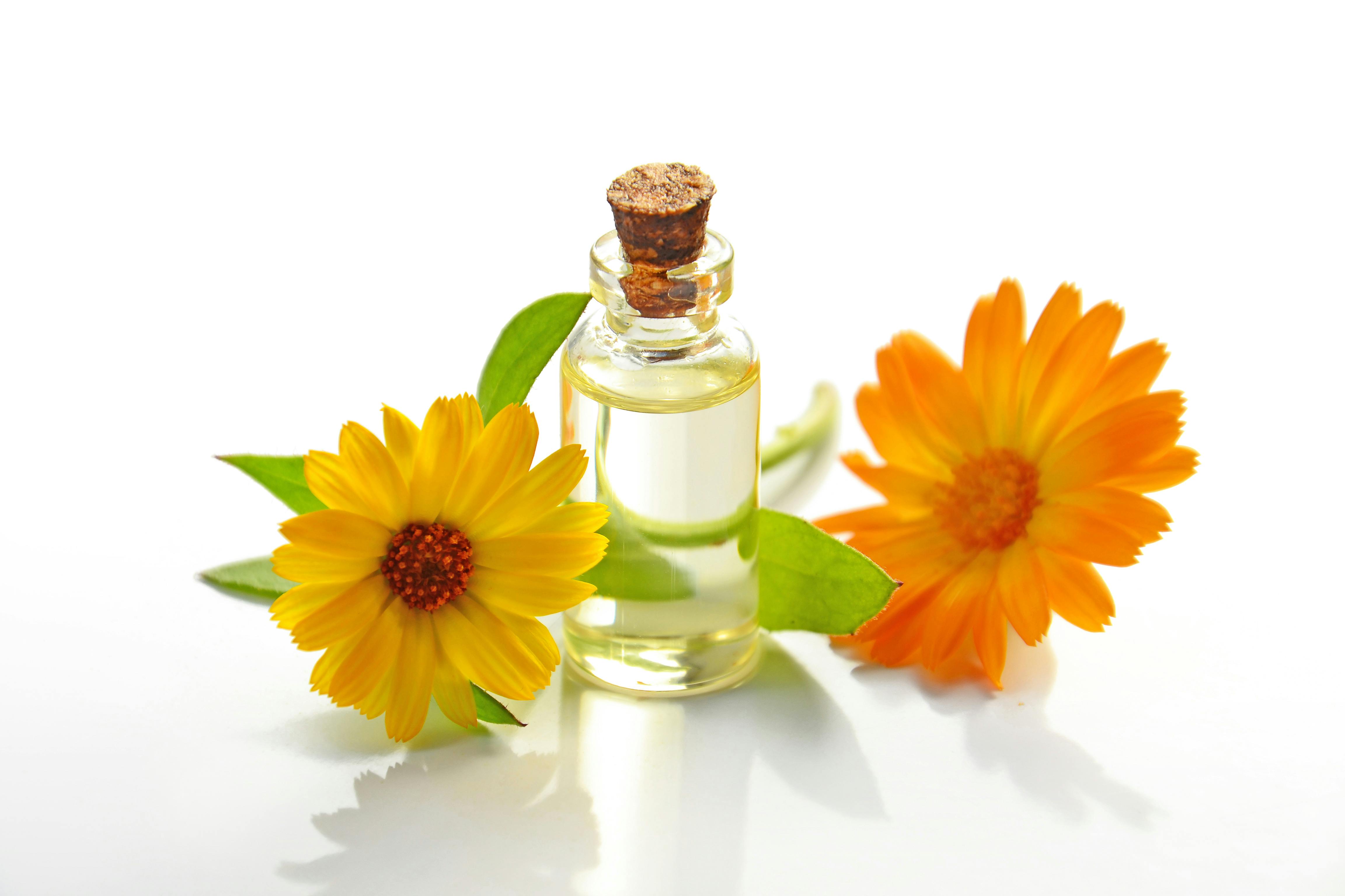 How to chose the Perfect Perfume: A Comprehensive guide.